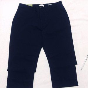 Goodfellow & Co Blue Athletic Hennepin Chino Pants